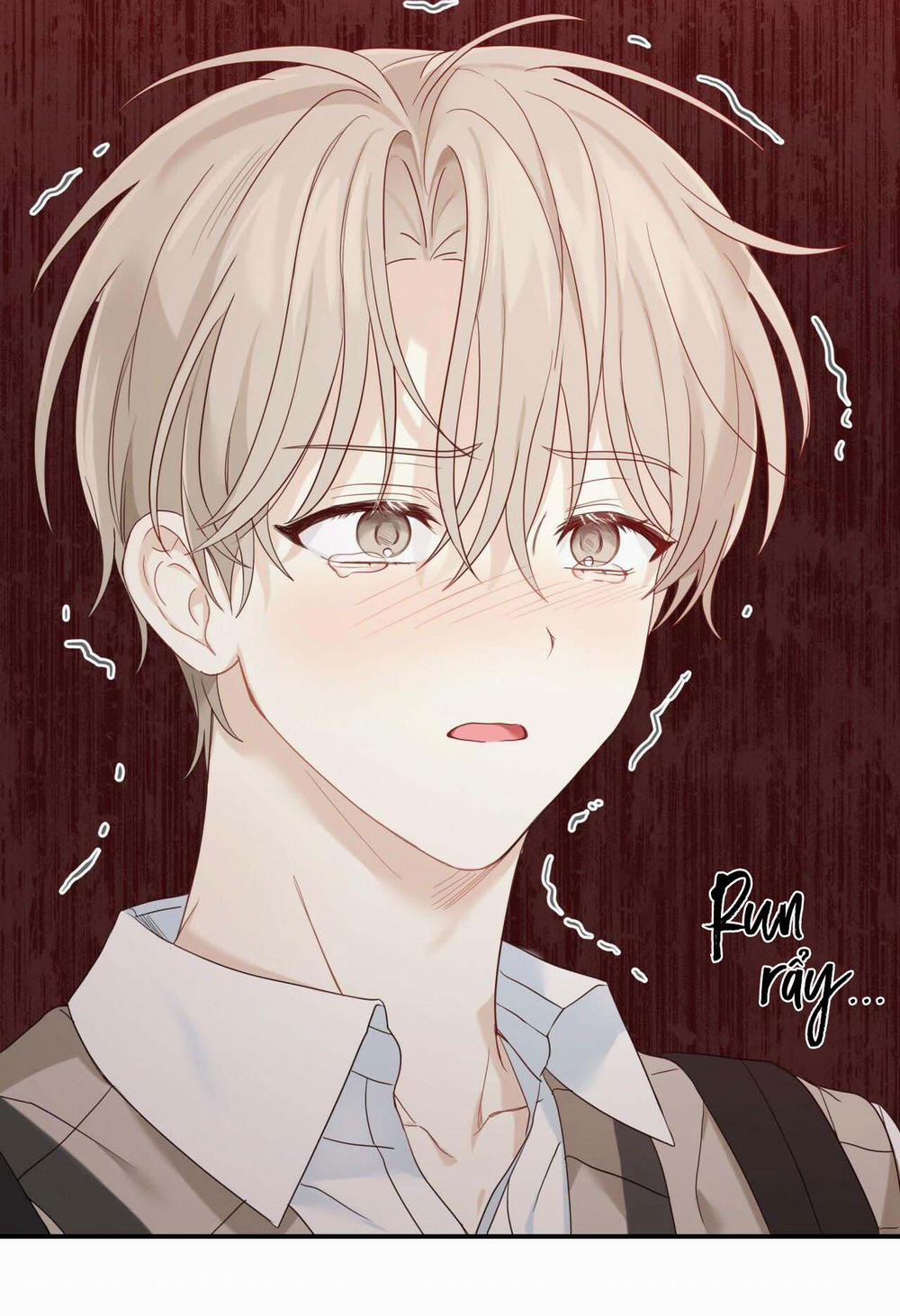 NGỌT NGÀO NÀY ĐỀU LÀ THẬT SAO? 6 trang 41