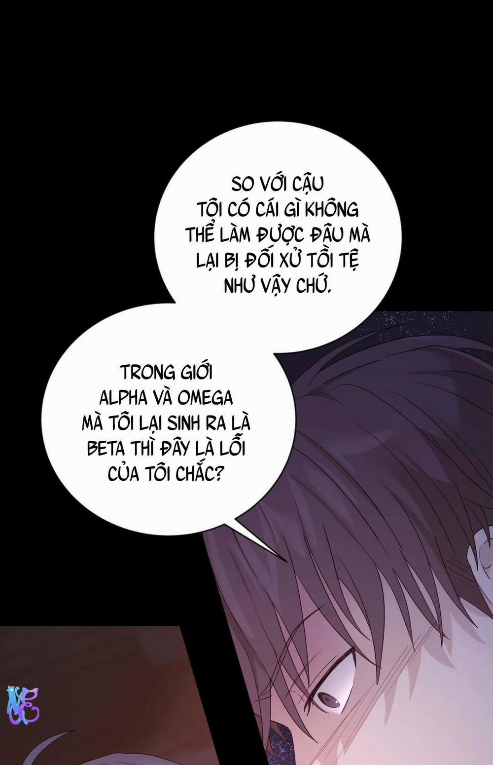 NGỌT NGÀO NÀY ĐỀU LÀ THẬT SAO? 7 trang 17