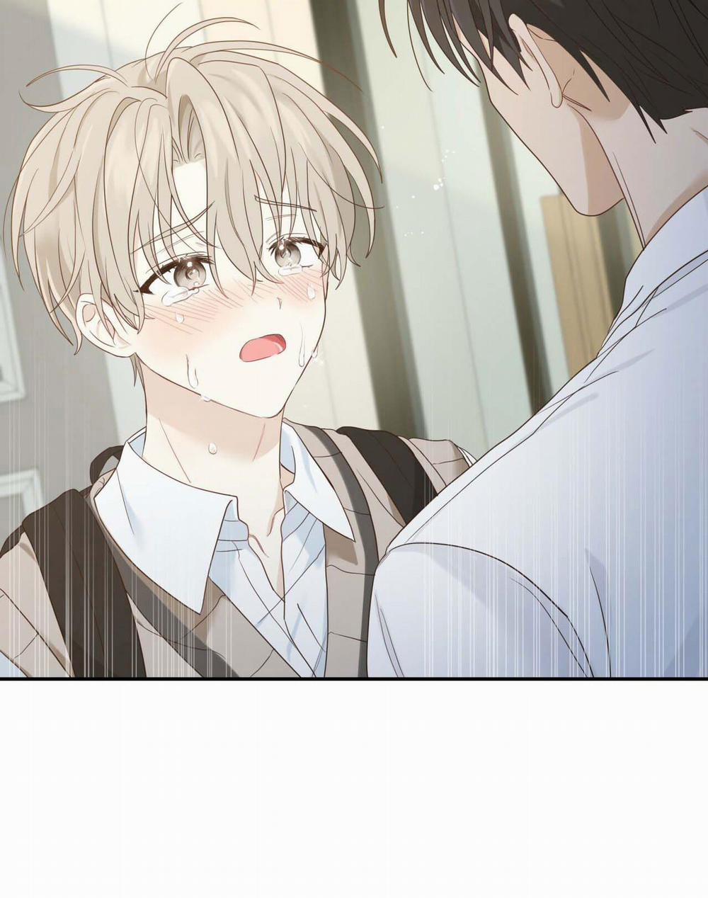 NGỌT NGÀO NÀY ĐỀU LÀ THẬT SAO? 7 trang 81