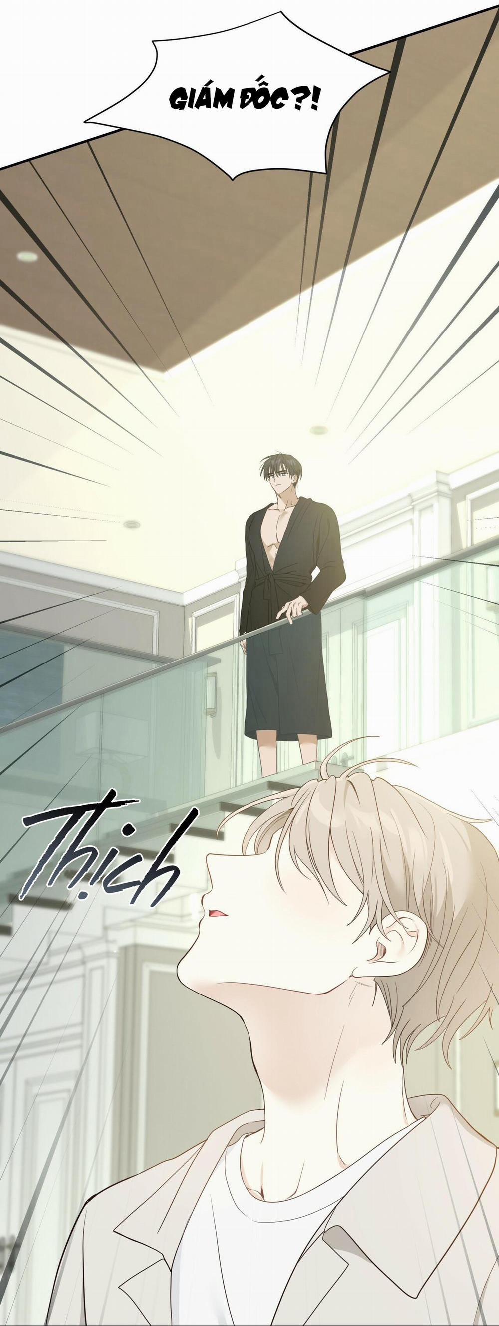 NGỌT NGÀO NÀY ĐỀU LÀ THẬT SAO? 8 trang 13