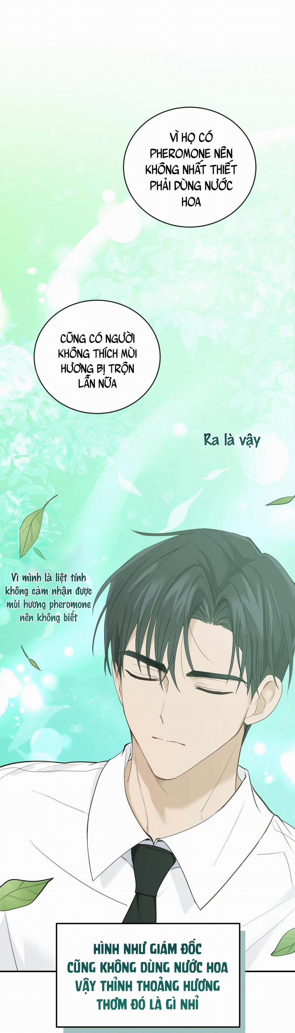 NGỌT NGÀO NÀY ĐỀU LÀ THẬT SAO? 9 trang 92