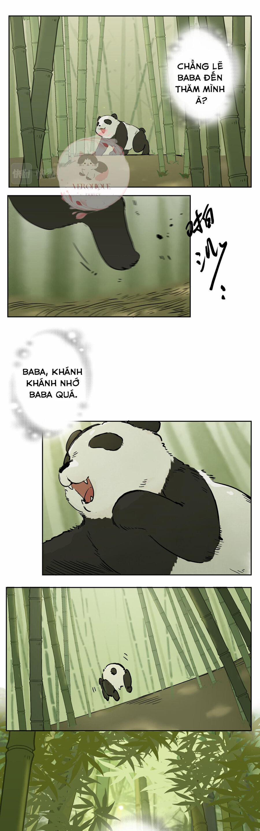 Ngũ Miêu 23 trang 17