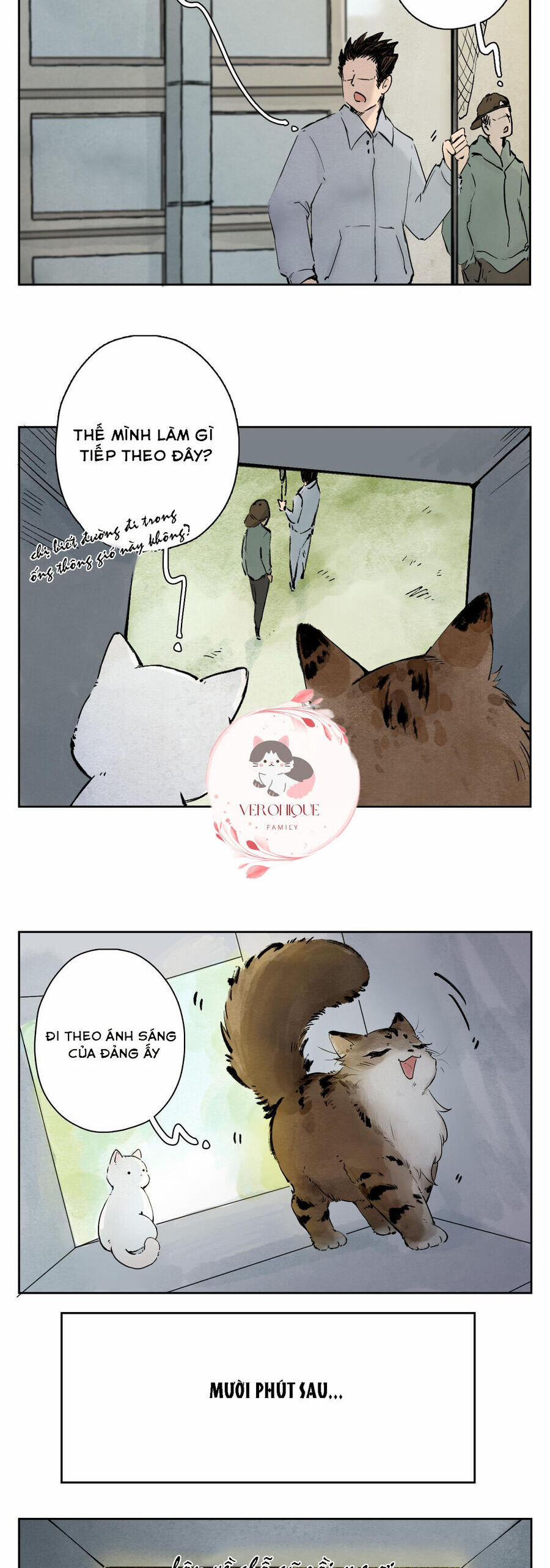 Ngũ Miêu 25 trang 4