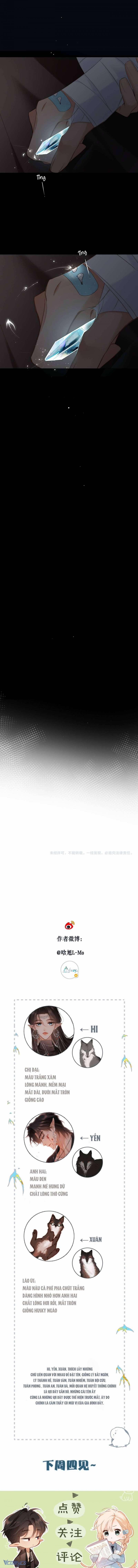 Ngược Dòng Mùa Xuân 2 trang 5