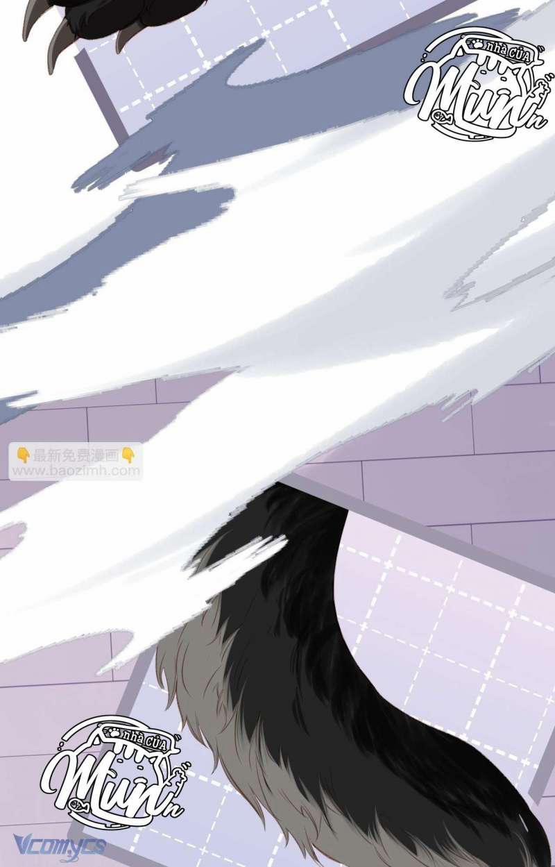 Ngược Dòng Mùa Xuân 5 trang 25