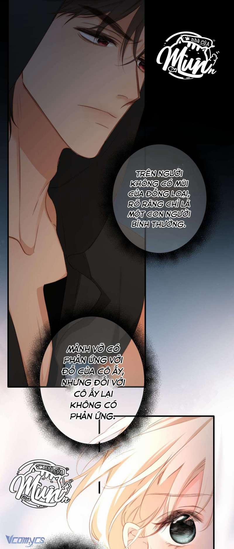 Ngược Dòng Mùa Xuân 5 trang 33