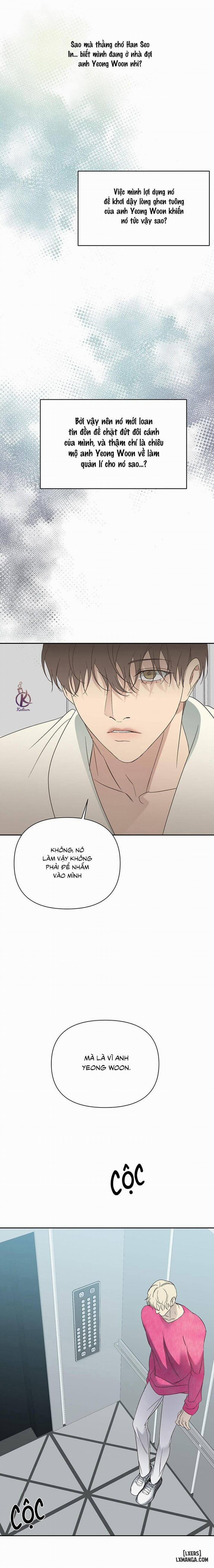 Ngược Sáng 21 trang 12