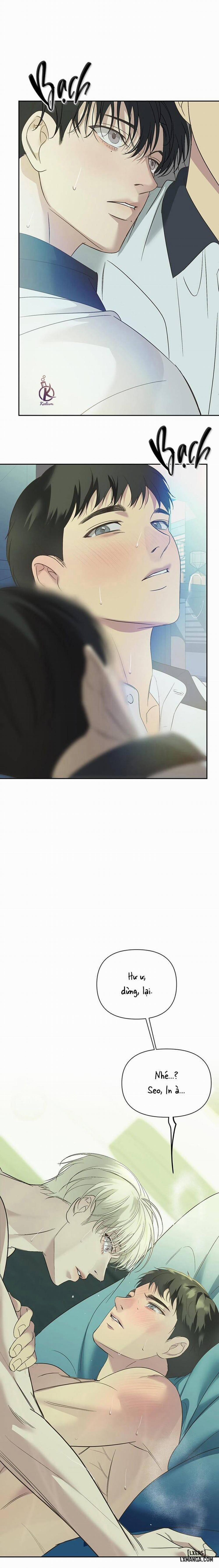 Ngược Sáng 24 trang 8