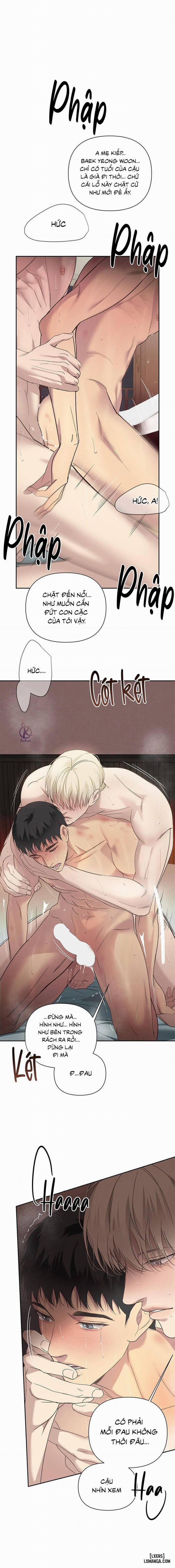 Ngược Sáng 25 trang 0