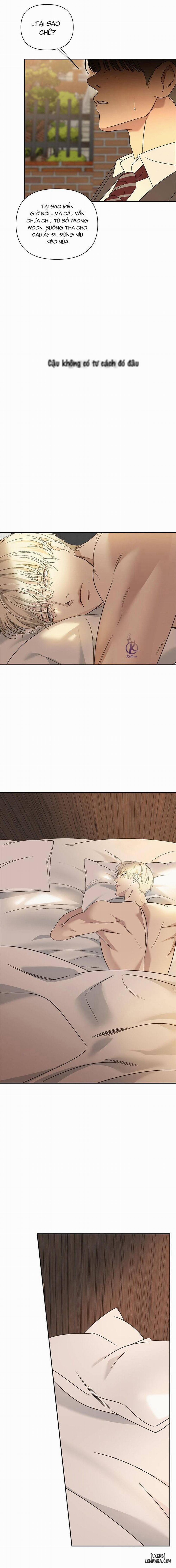 Ngược Sáng 25 trang 8