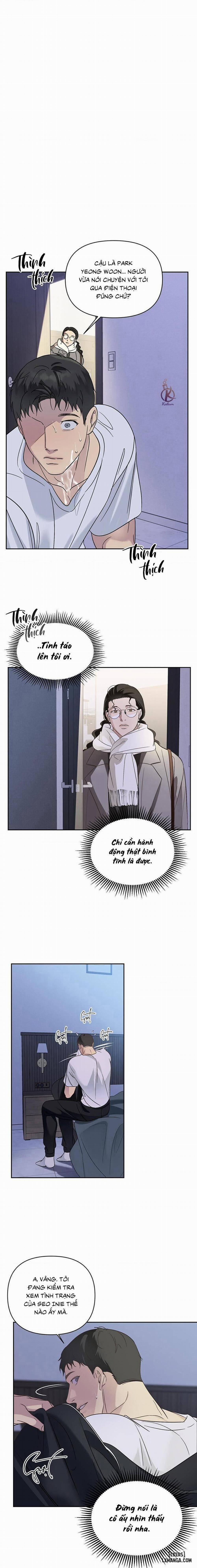 Ngược Sáng 8 trang 0