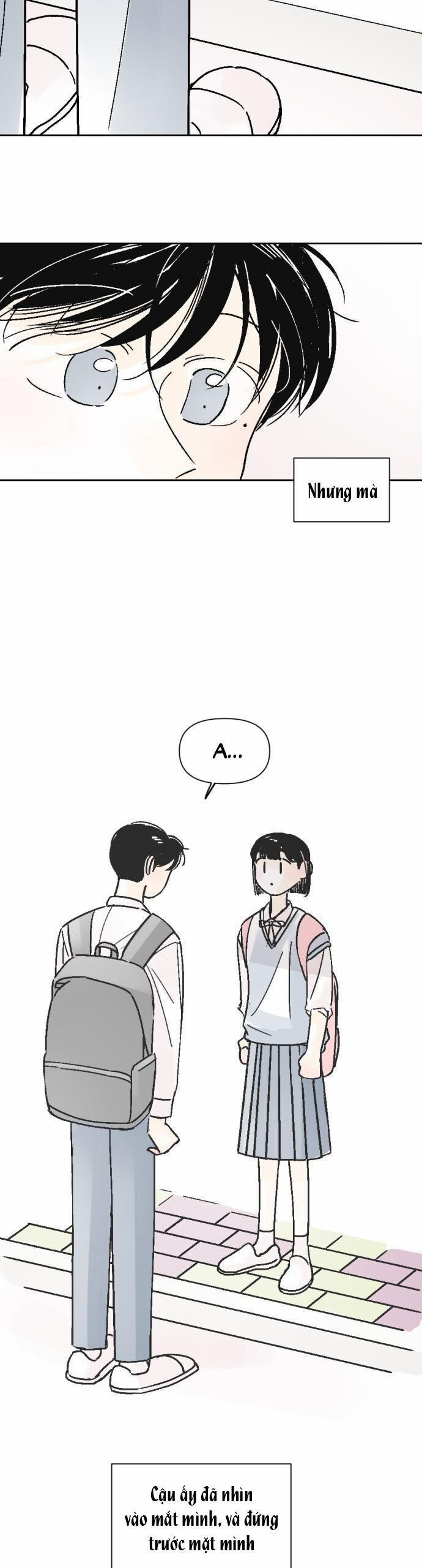 Người Bạn Cùng Trường 30 trang 19