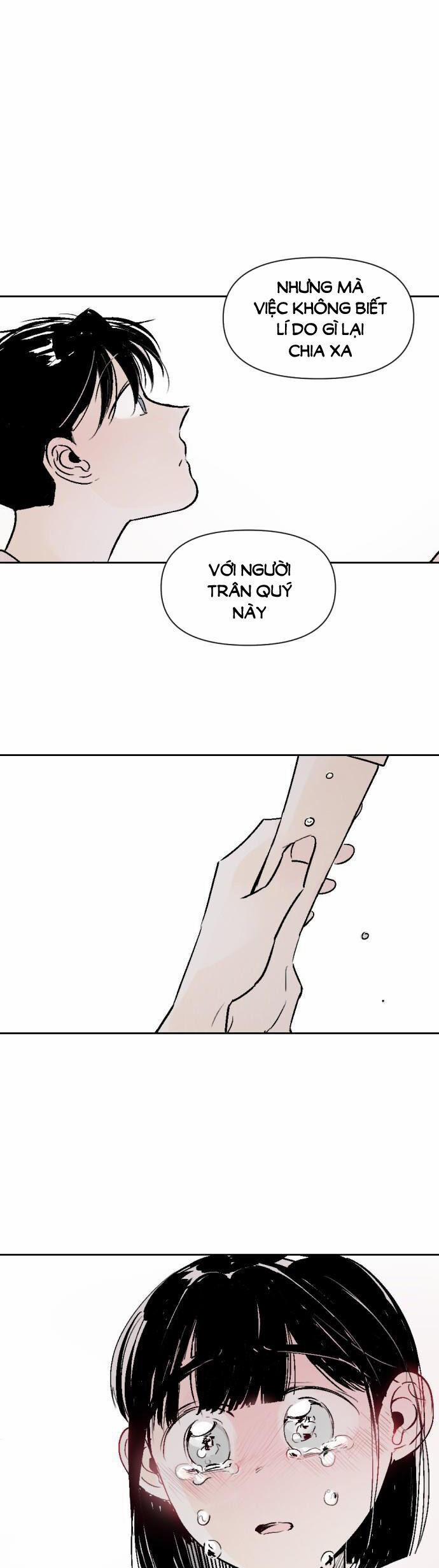 Người Bạn Cùng Trường 31 trang 10