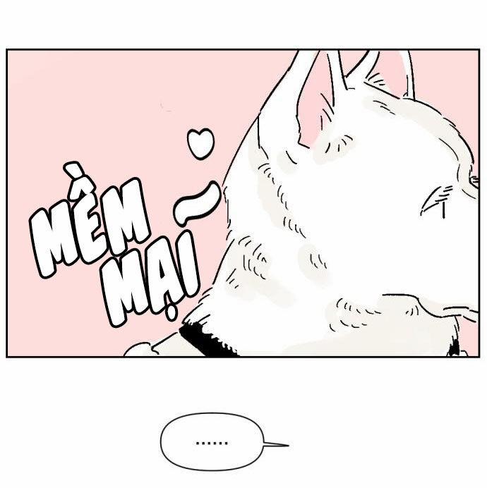 Người Bạn Cùng Trường 5 trang 36