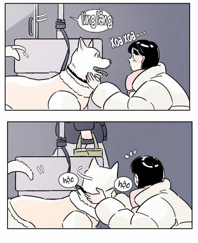 Người Bạn Cùng Trường 5 trang 39