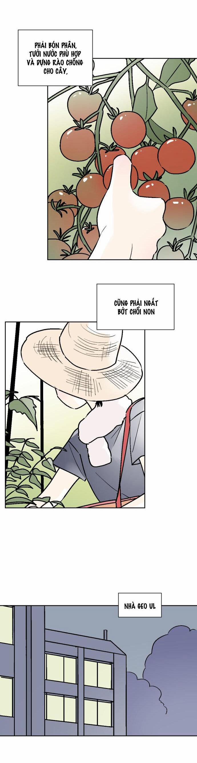 Người Bạn Cùng Trường 54 trang 1