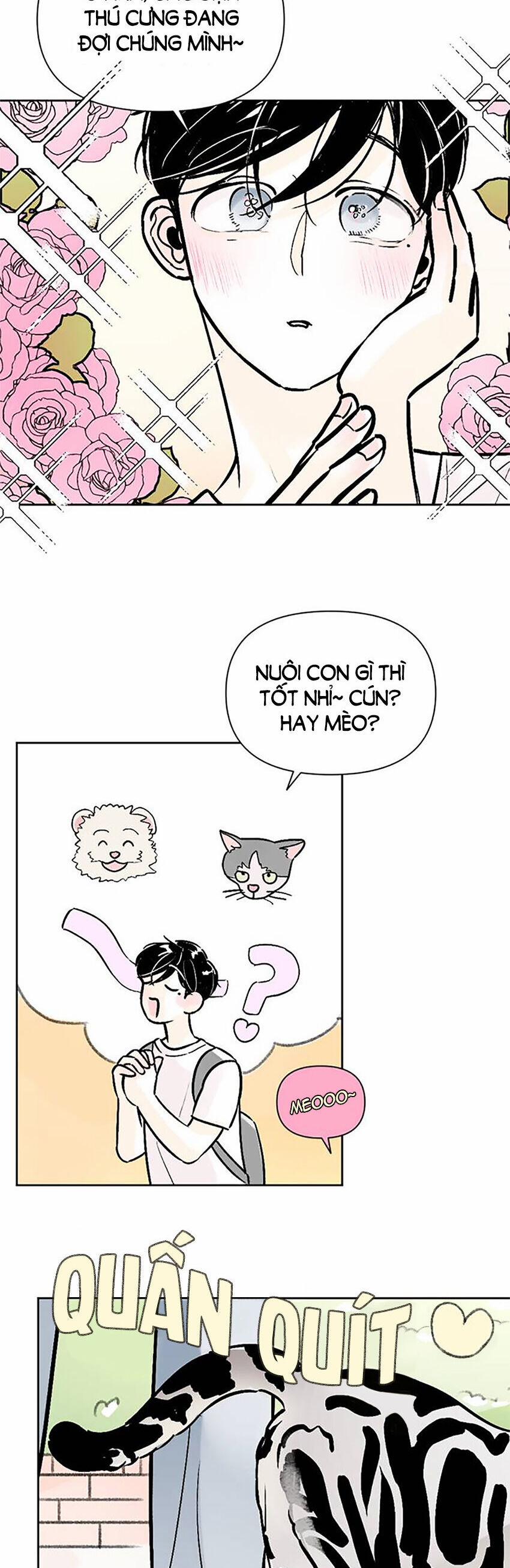 Người Bạn Cùng Trường 62 trang 13