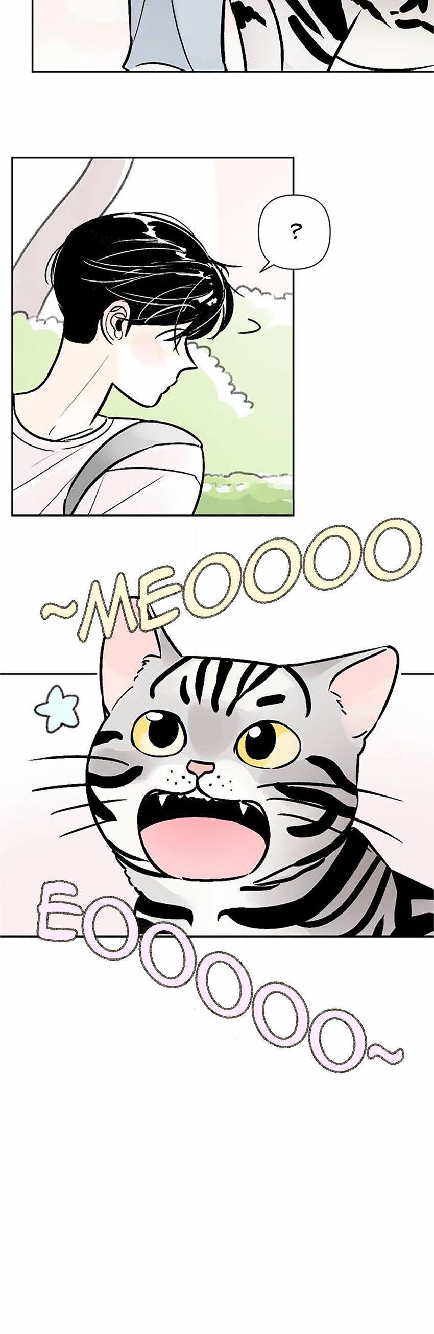 Người Bạn Cùng Trường 62 trang 14