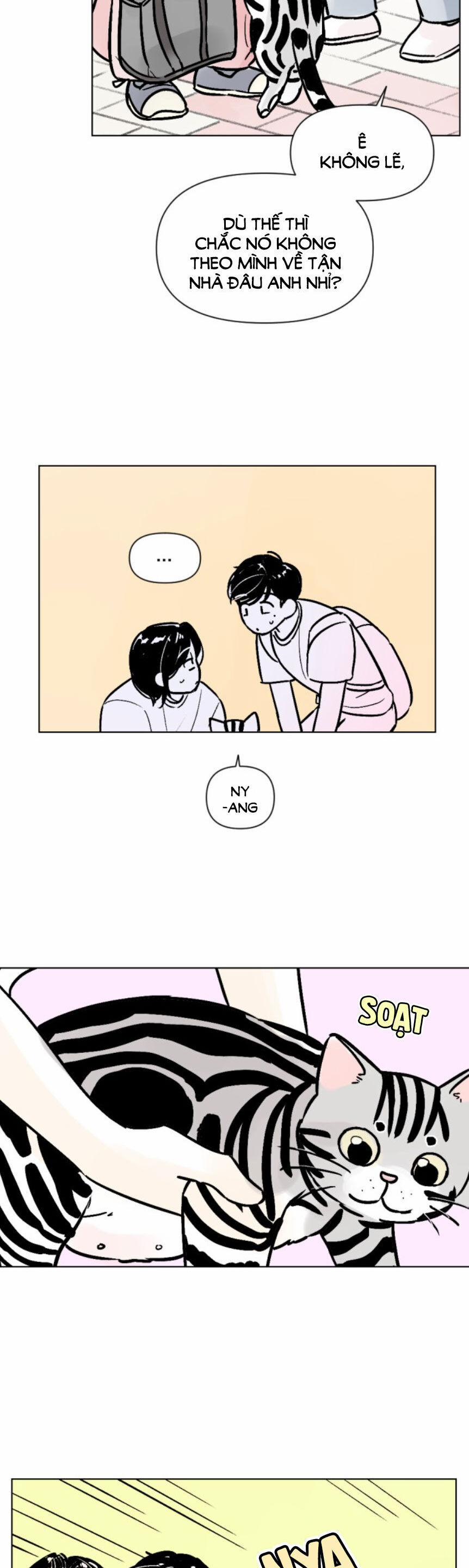 Người Bạn Cùng Trường 63 trang 11