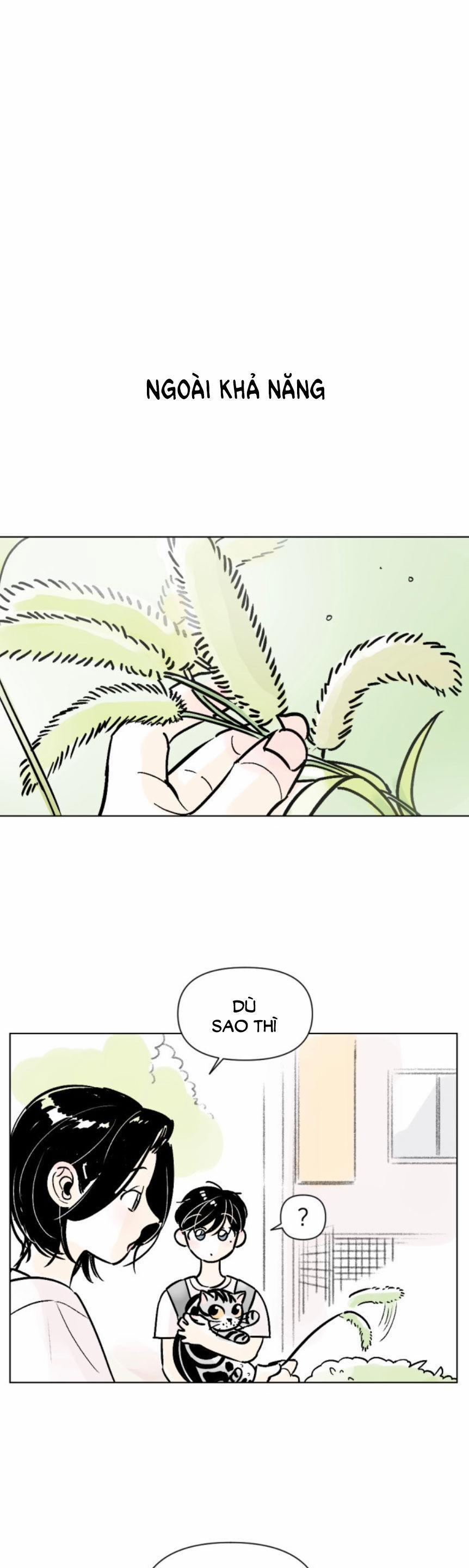 Người Bạn Cùng Trường 63 trang 18