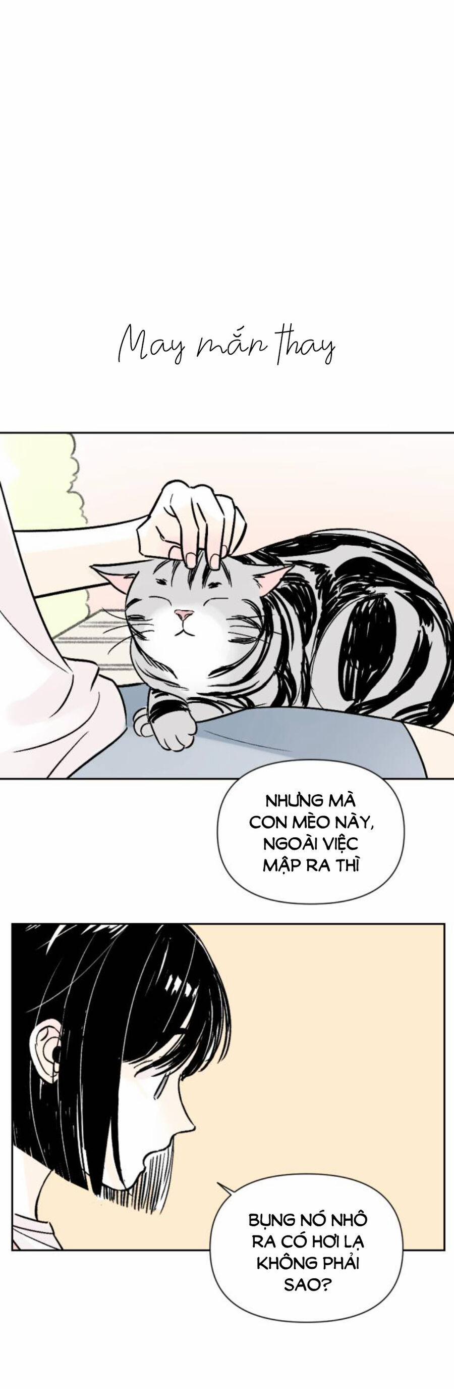 Người Bạn Cùng Trường 65 trang 0