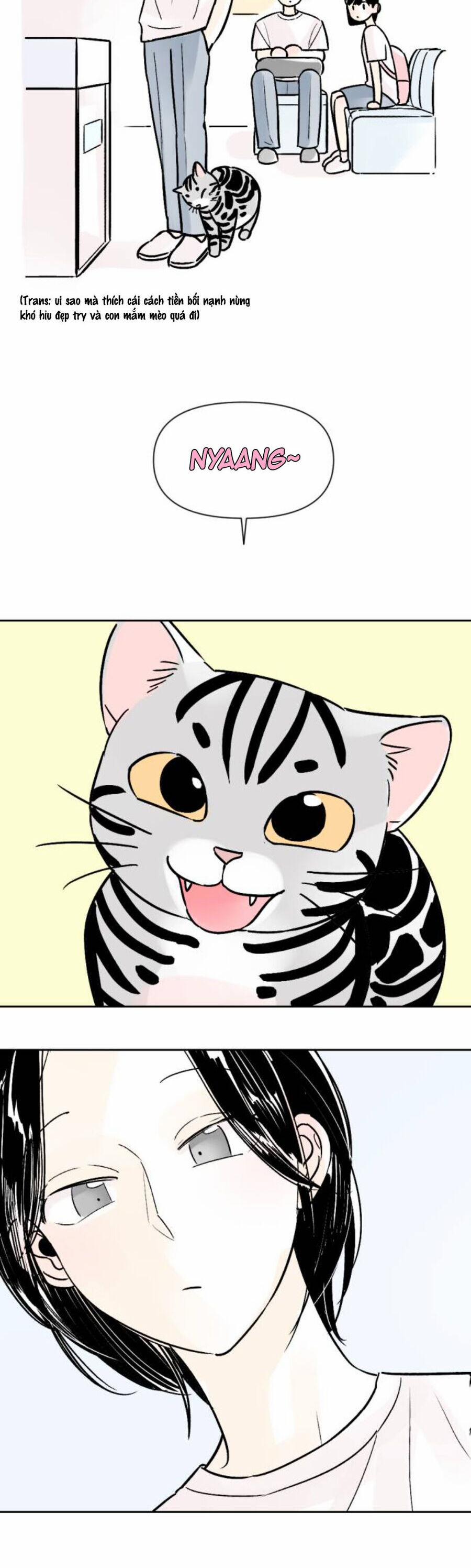 Người Bạn Cùng Trường 65 trang 5