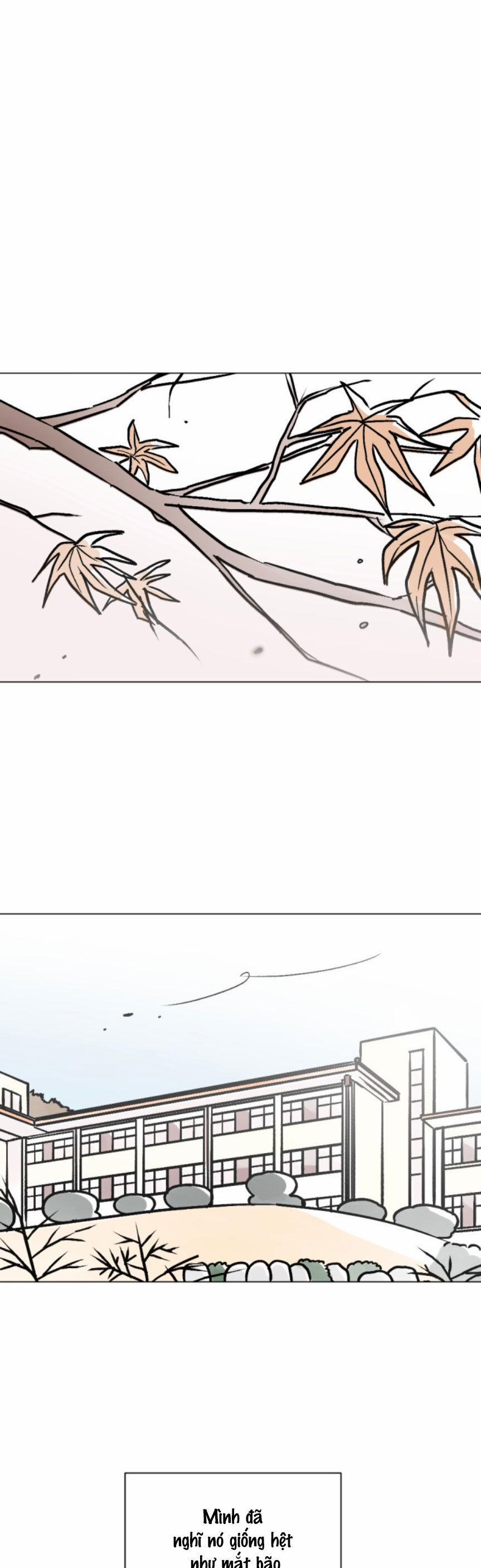 Người Bạn Cùng Trường 87 trang 0