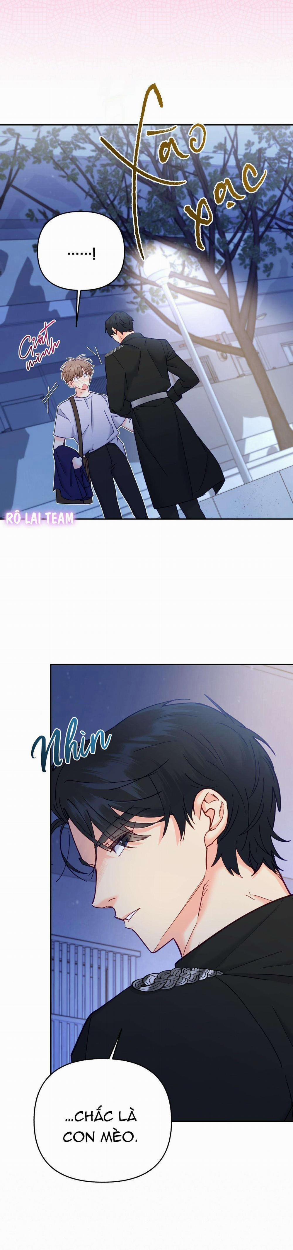 Người Bình Thường Cấp A 21 trang 8