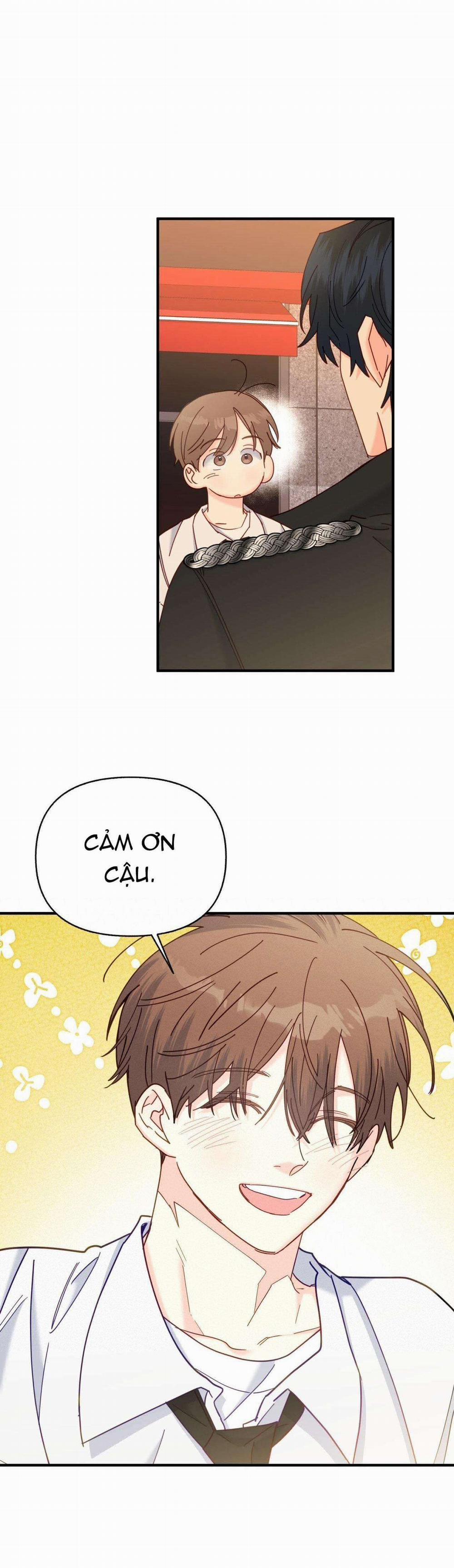 Người Bình Thường Cấp A 31 trang 5