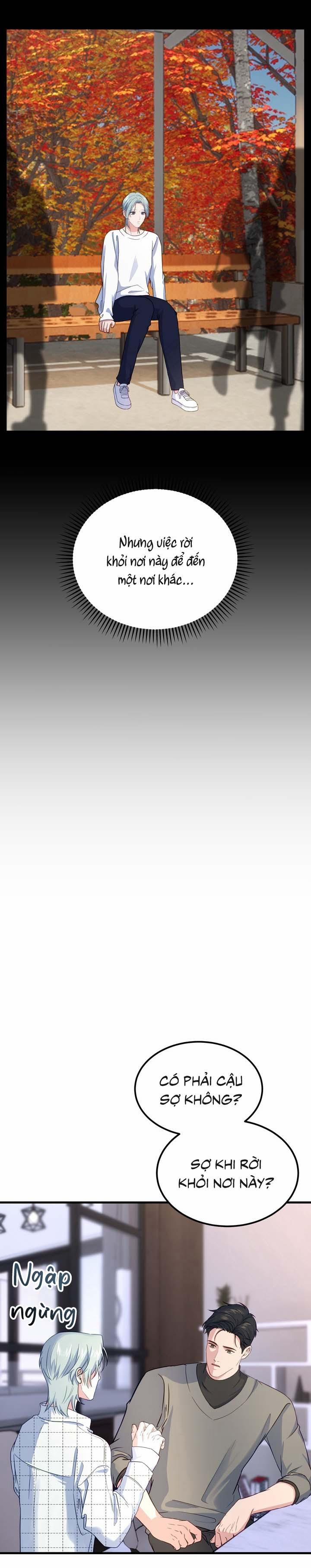 Người Cá Biến Mất 5 trang 3