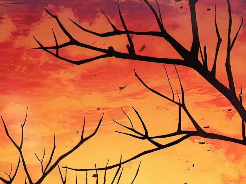 Người Chơi Không Thể Thăng Cấp 72 trang 217