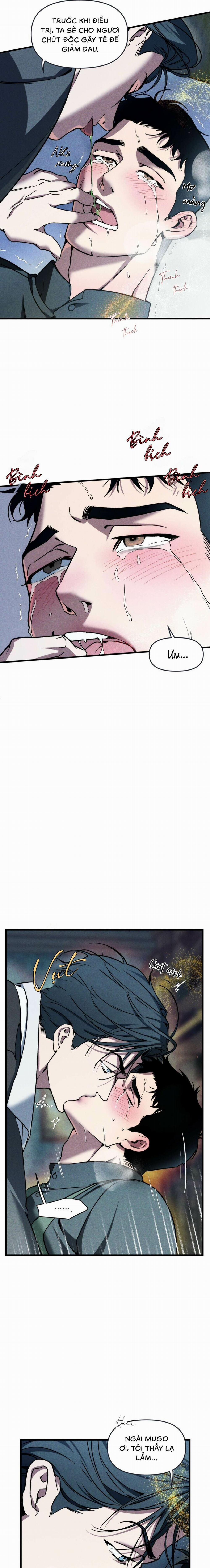 Người Chồng Tế Phẩm 10 trang 12