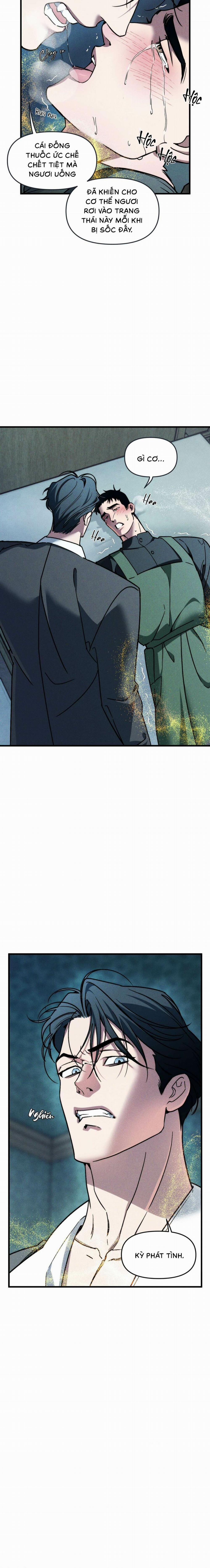 Người Chồng Tế Phẩm 10 trang 13