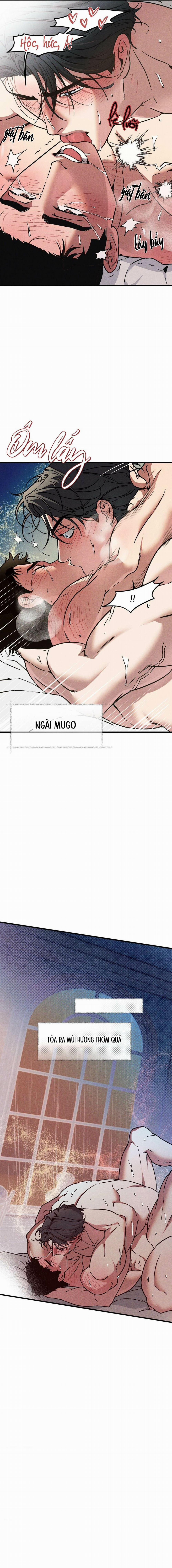 Người Chồng Tế Phẩm 11 trang 21