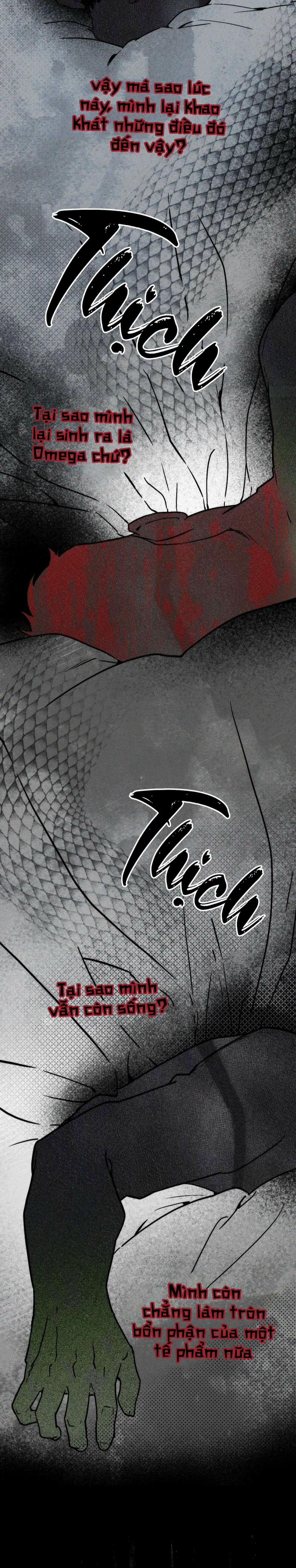 Người Chồng Tế Phẩm 11 trang 5