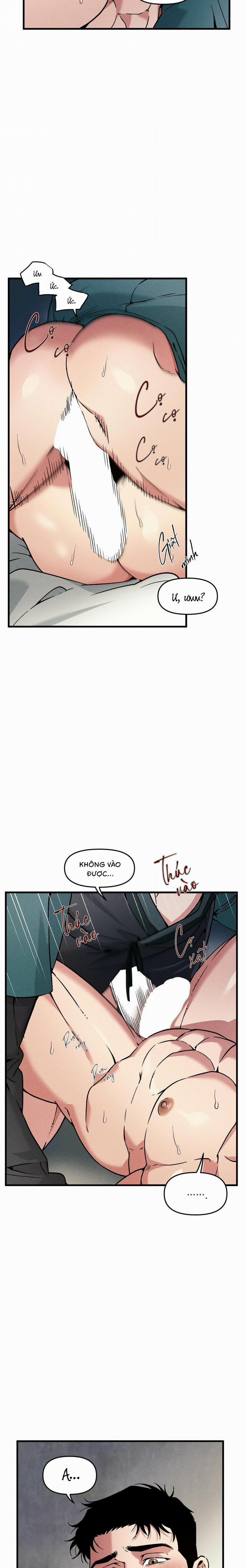 Người Chồng Tế Phẩm 15 trang 16