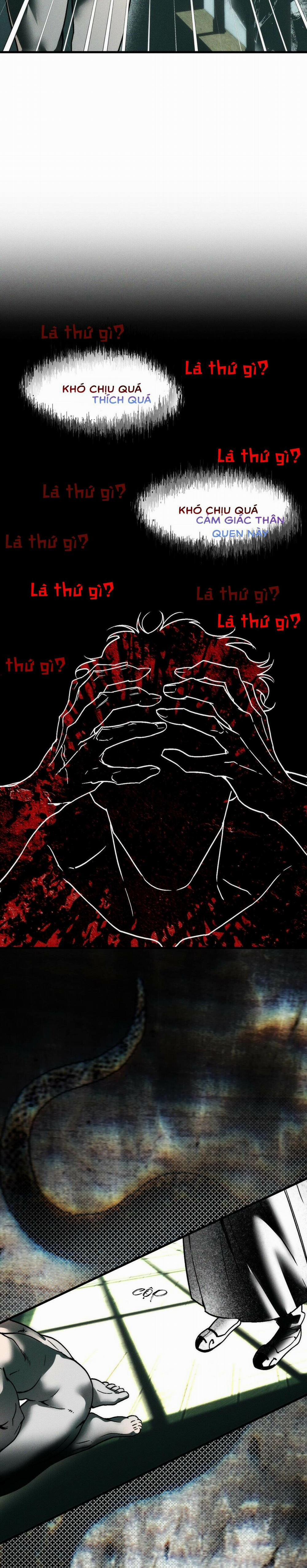 Người Chồng Tế Phẩm 16 trang 11