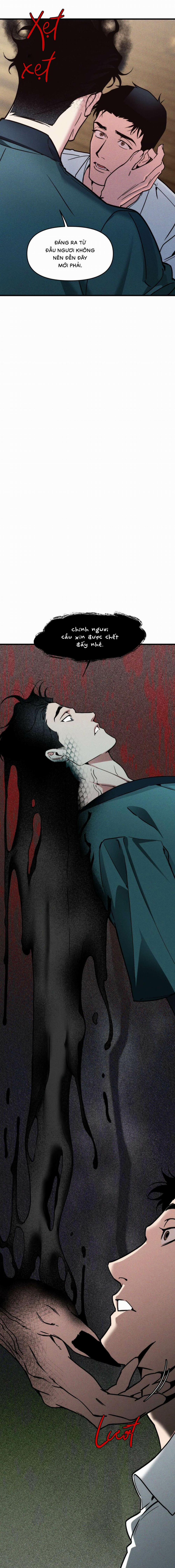 Người Chồng Tế Phẩm 5 trang 12