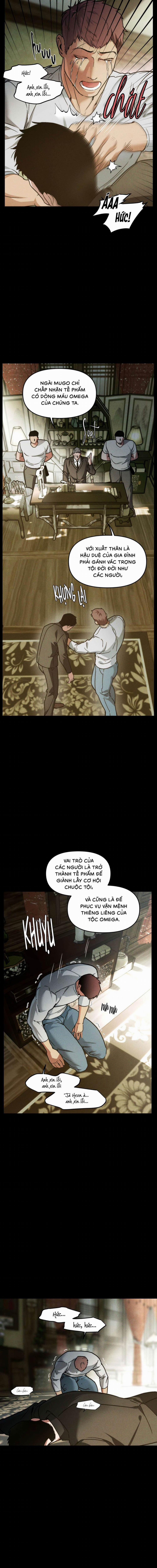 Người Chồng Tế Phẩm 8 trang 3