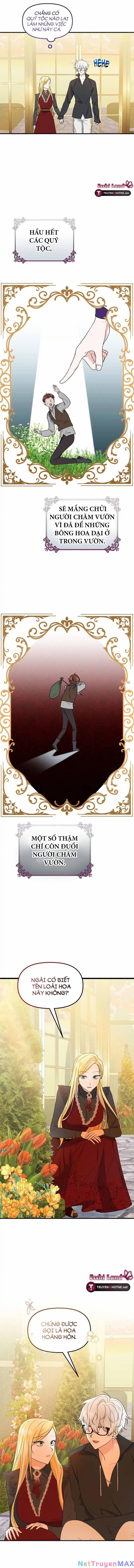 Người Chồng Thiên Thần Của Tôi Thật Ra Là Ác Quỷ 3.2 trang 0