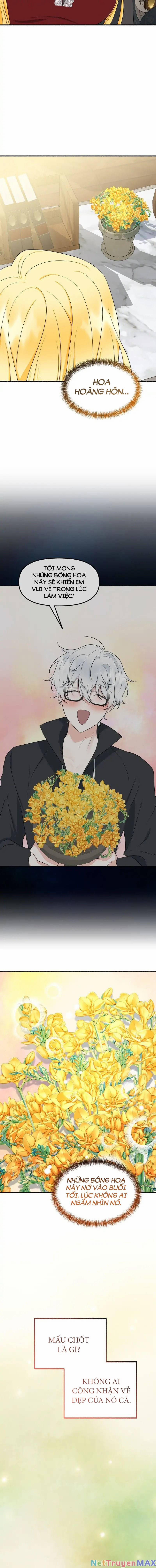 Người Chồng Thiên Thần Của Tôi Thật Ra Là Ác Quỷ 3.2 trang 5