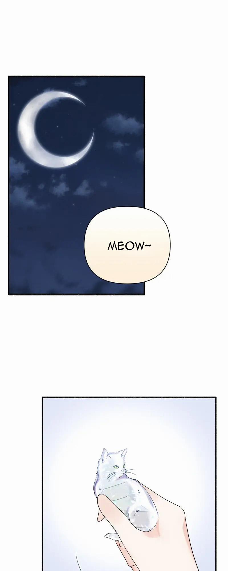 Người Chồng Thiên Thần Của Tôi Thật Ra Là Ác Quỷ 31.2 trang 4