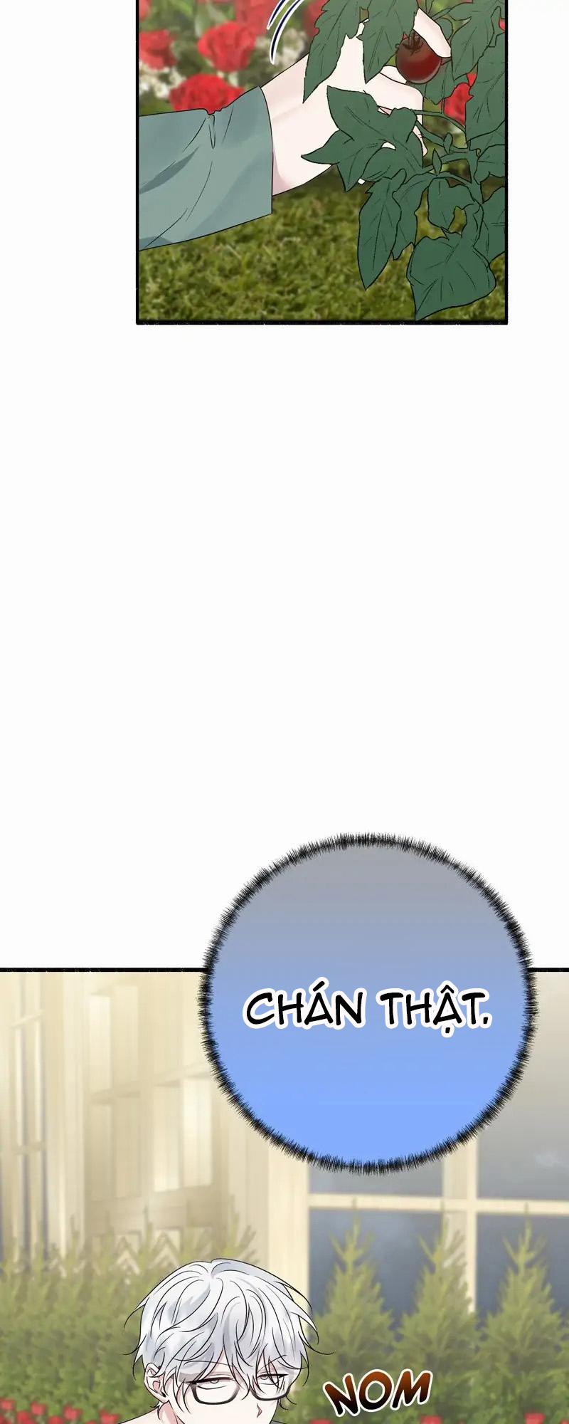 Người Chồng Thiên Thần Của Tôi Thật Ra Là Ác Quỷ 32.1 trang 12