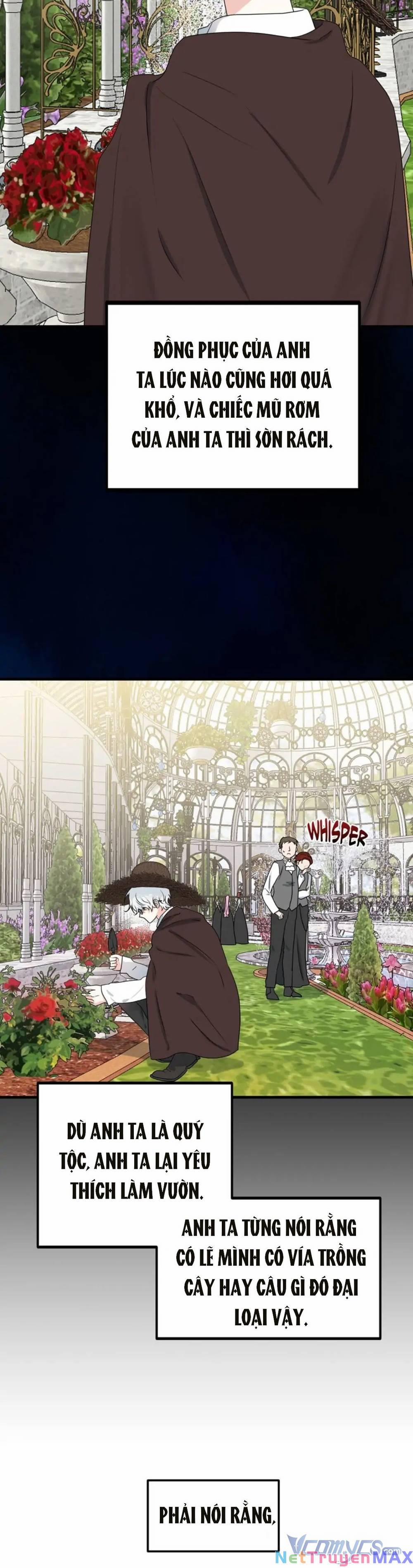 Người Chồng Thiên Thần Của Tôi Thật Ra Là Sói Đội Lốt Người!! 1 trang 15