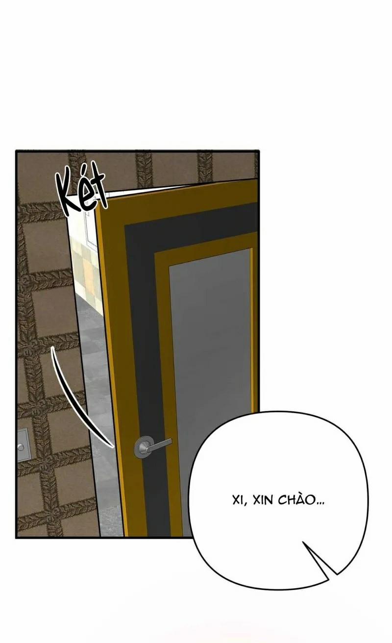 Người Chồng Trẻ Tuổi 3 trang 11