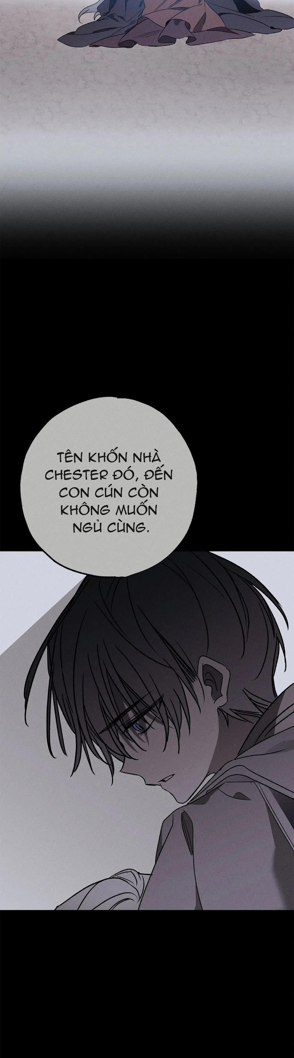 Người Chồng Từng Ghét Bỏ Tôi Đã Mất Đi Kí Ức 13.2 trang 20