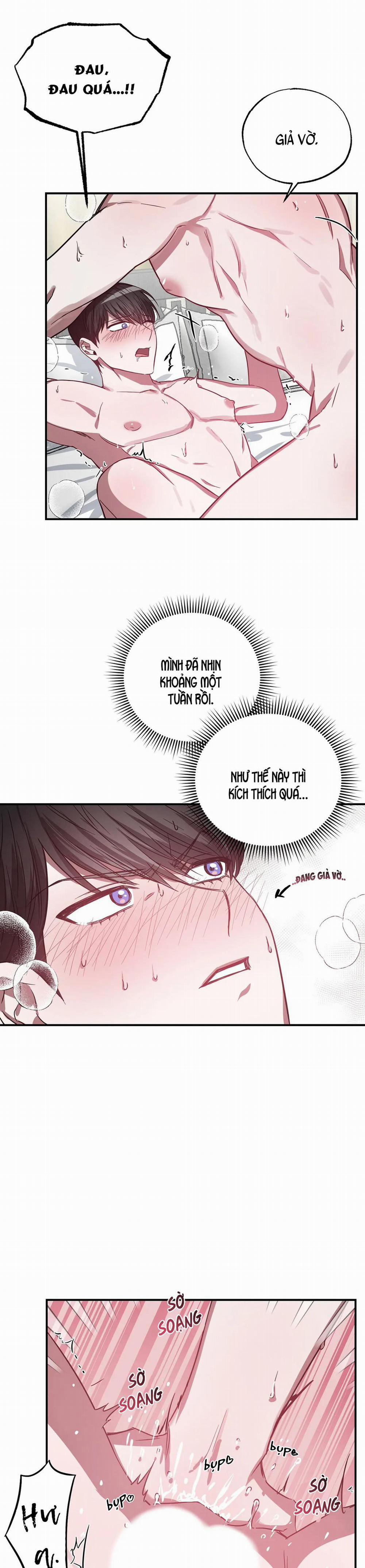 Người Chủ May Mắn 4 trang 13