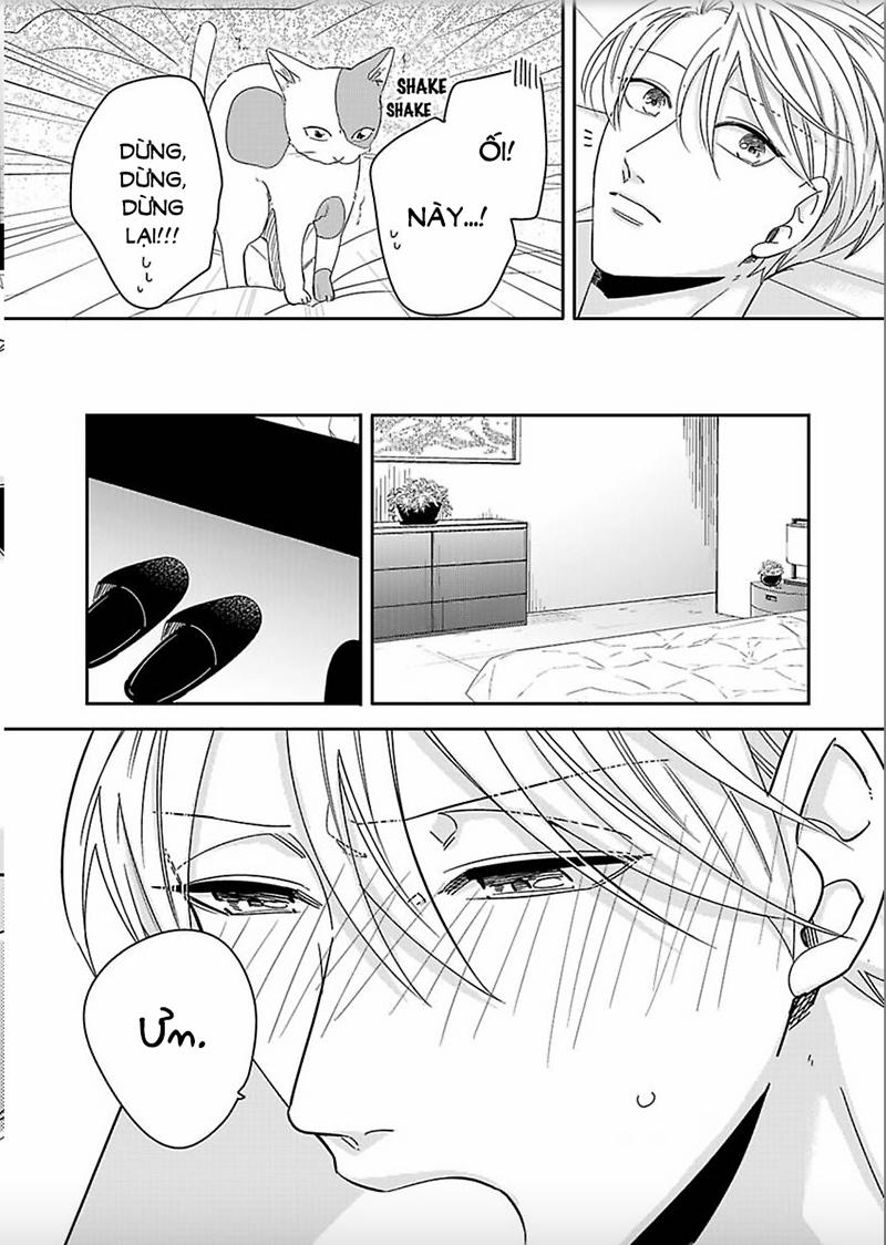 Người Đã Giết Tôi Ở Kiếp Trước 2 trang 11