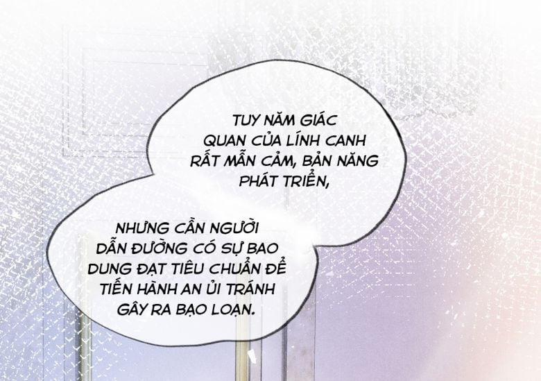 Người Dẫn Đường Có Phải Trùng Sinh Rồi Không 1 trang 46