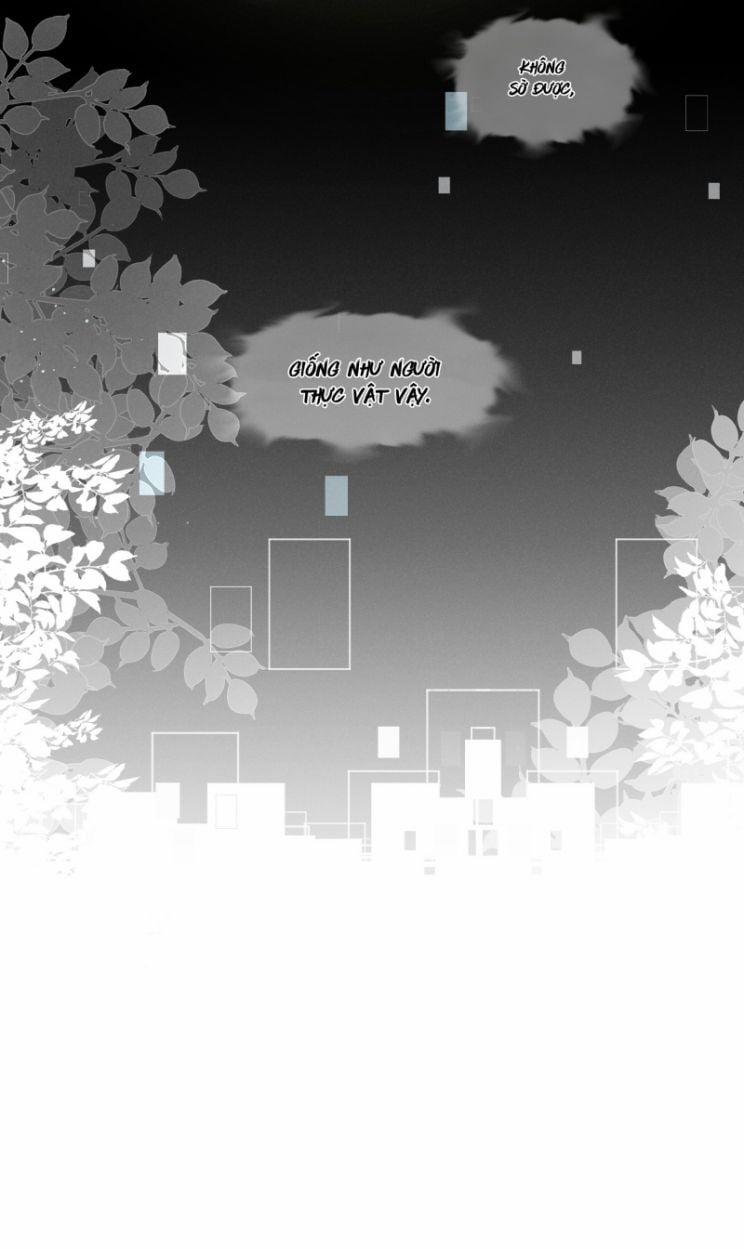 Người Dẫn Đường Có Phải Trùng Sinh Rồi Không 10 trang 16